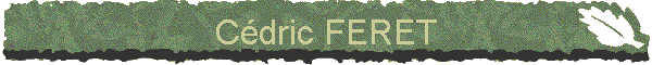 Cdric FERET