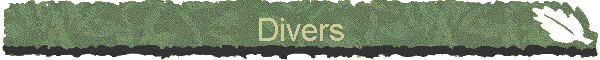 Divers