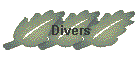 Divers