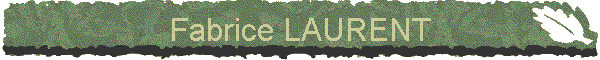 Fabrice LAURENT