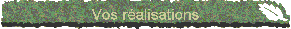 Vos ralisations