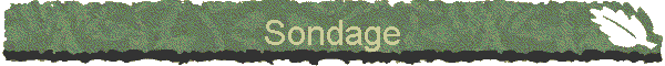 Sondage